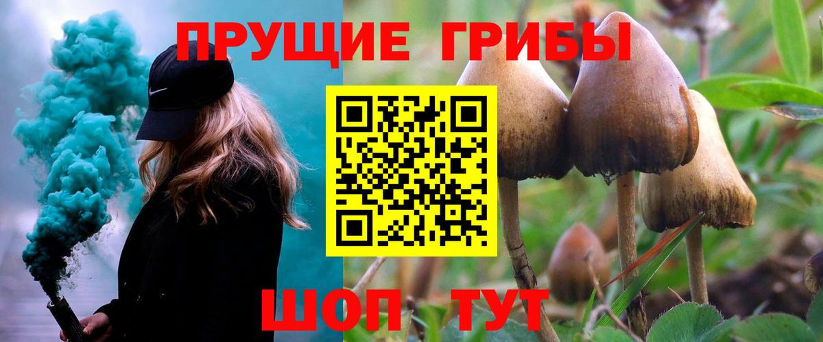 Галлюциногенные грибы Psilocybine cubensis  Вход с VPN  Рузаевка 