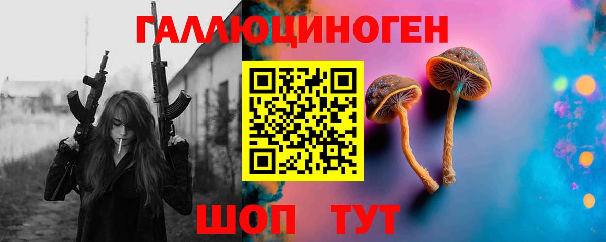 Псилоцибиновые грибы Psilocybine cubensis Рузаевка